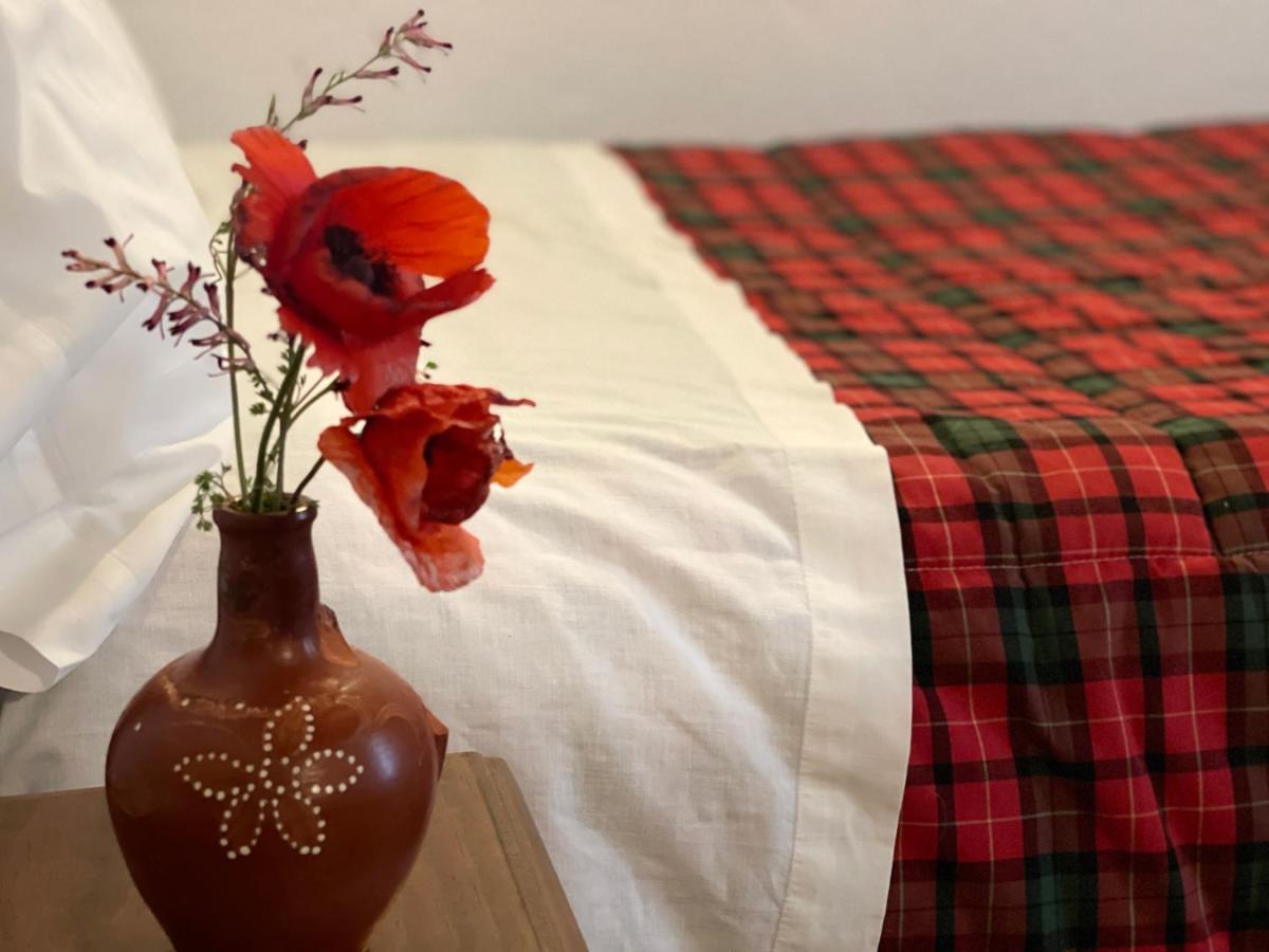 Pensjonat Cortijo Huerta Galindo Alanís Zewnętrze zdjęcie