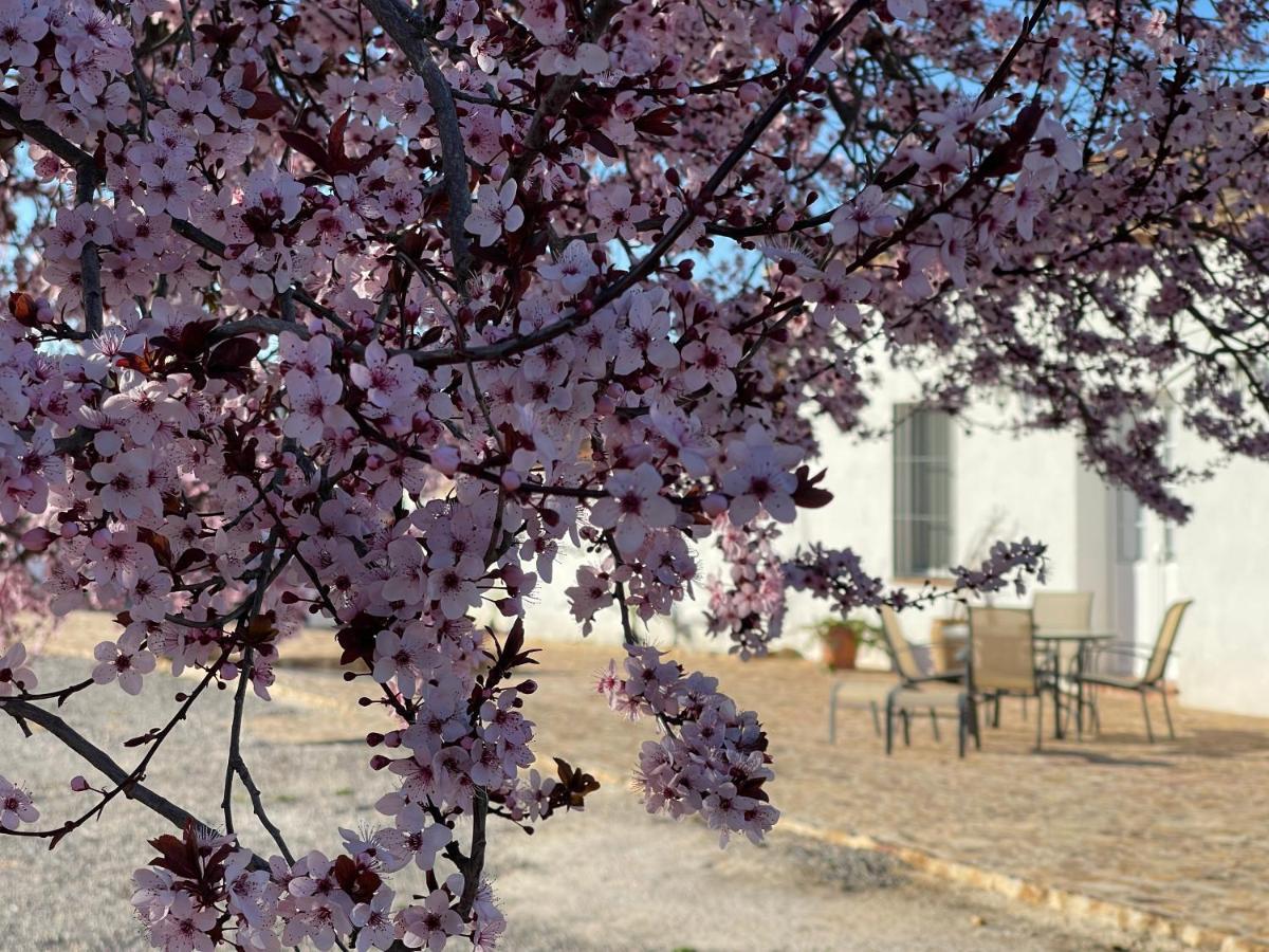 Pensjonat Cortijo Huerta Galindo Alanís Zewnętrze zdjęcie