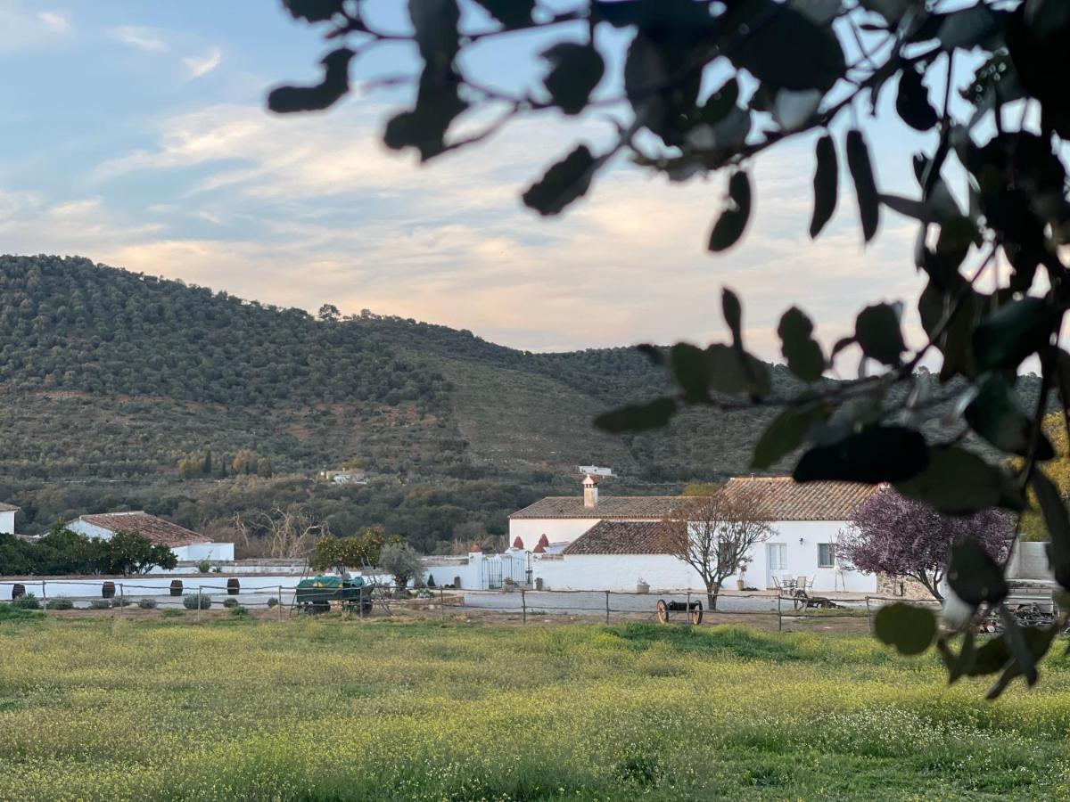 Pensjonat Cortijo Huerta Galindo Alanís Zewnętrze zdjęcie
